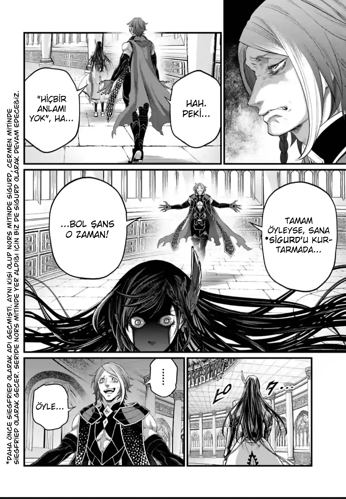 Sayfa 13