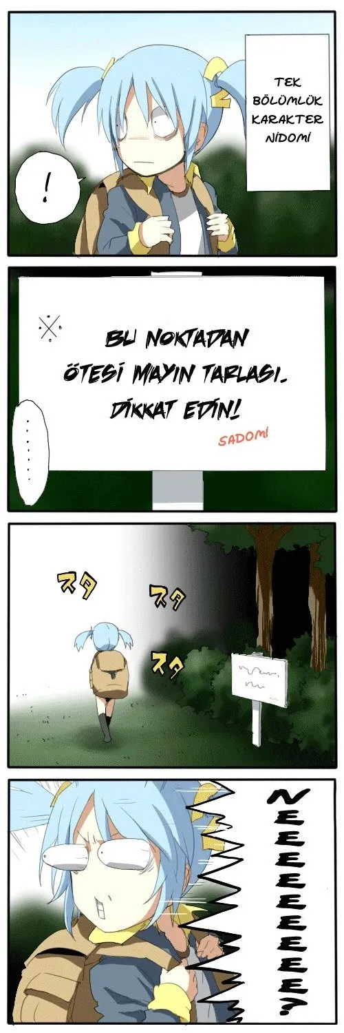 Sayfa 31