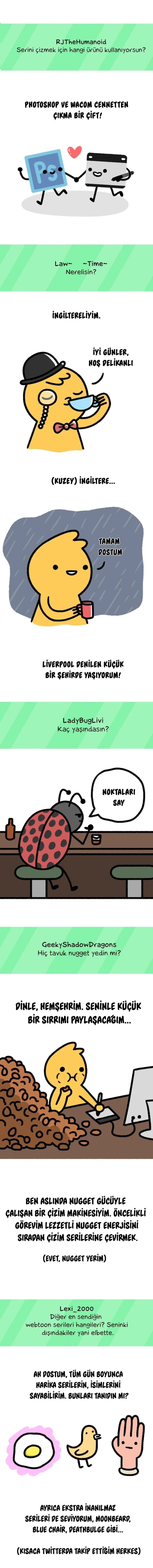 Sayfa 3