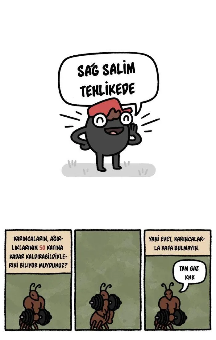 Sayfa 2