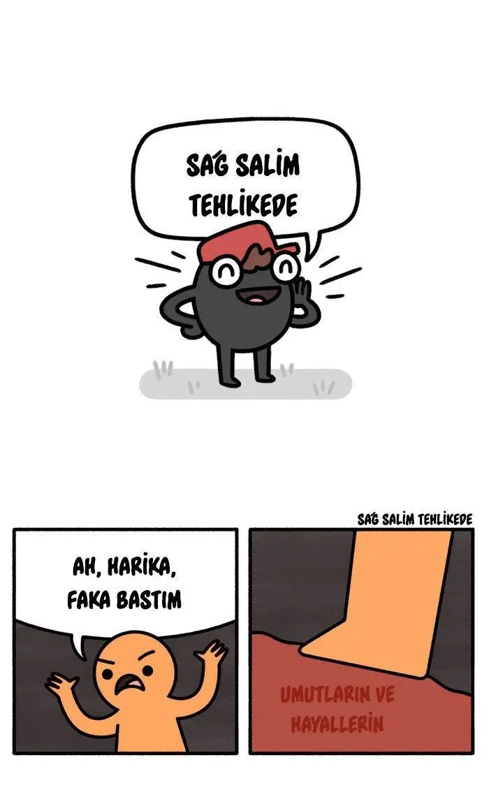 Sayfa 2