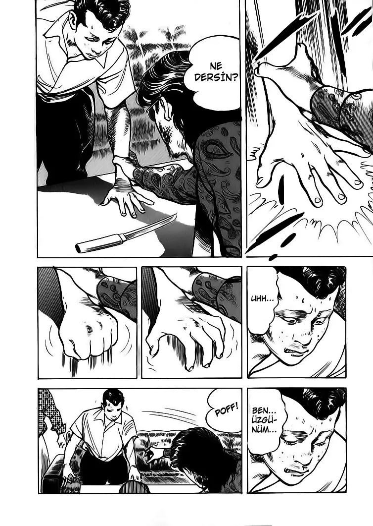 Sayfa 13