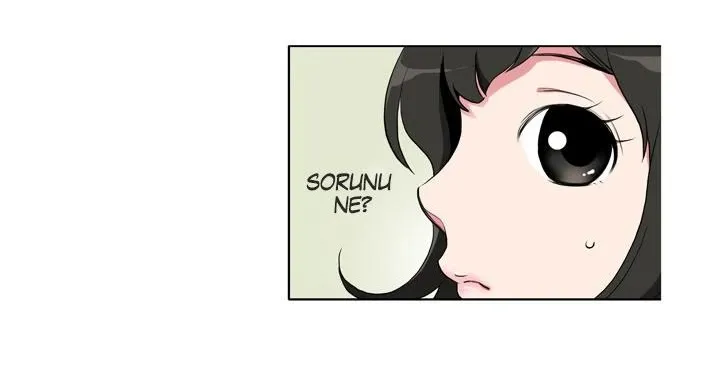 Sayfa 20