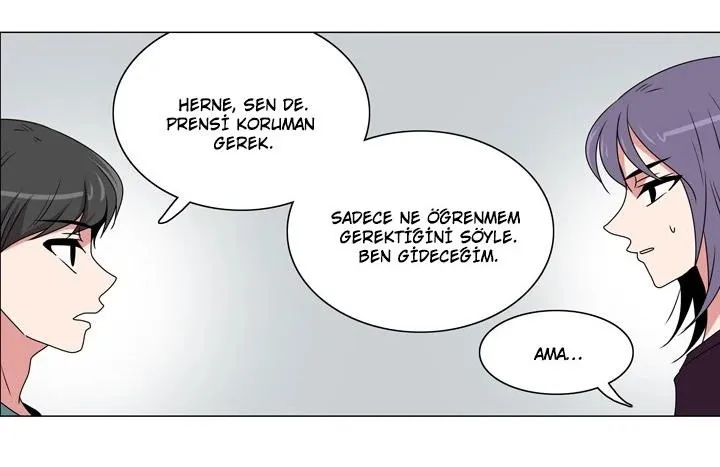 Sayfa 17