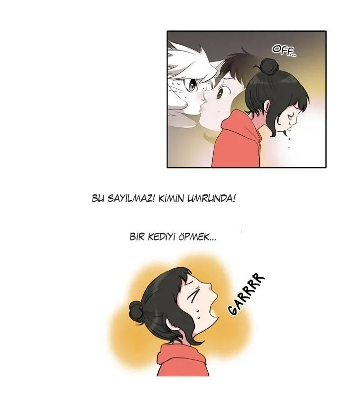 Sayfa 35