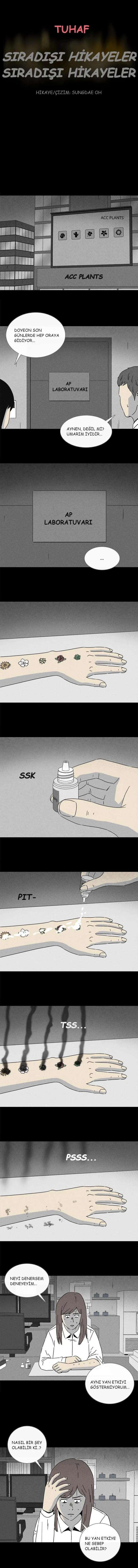 Sayfa 1