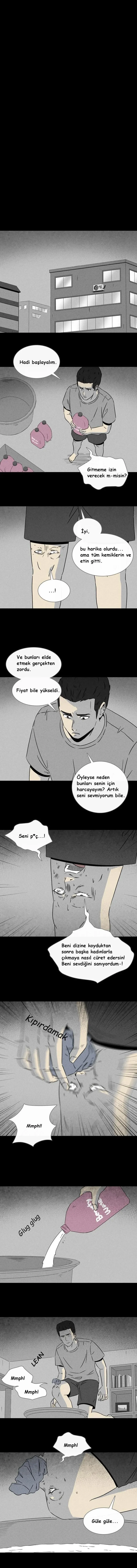 Sayfa 5