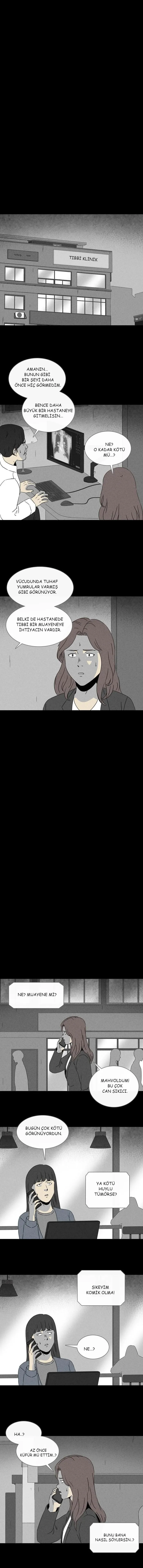 Sayfa 5