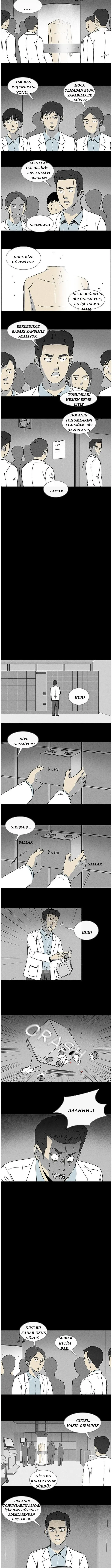 Sayfa 3