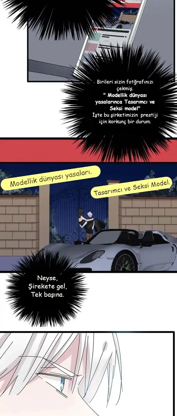 Sayfa 17