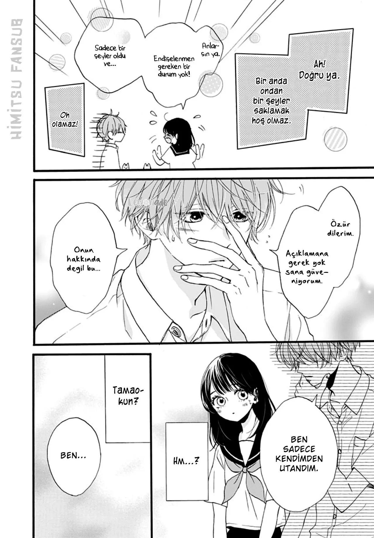 Sayfa 30
