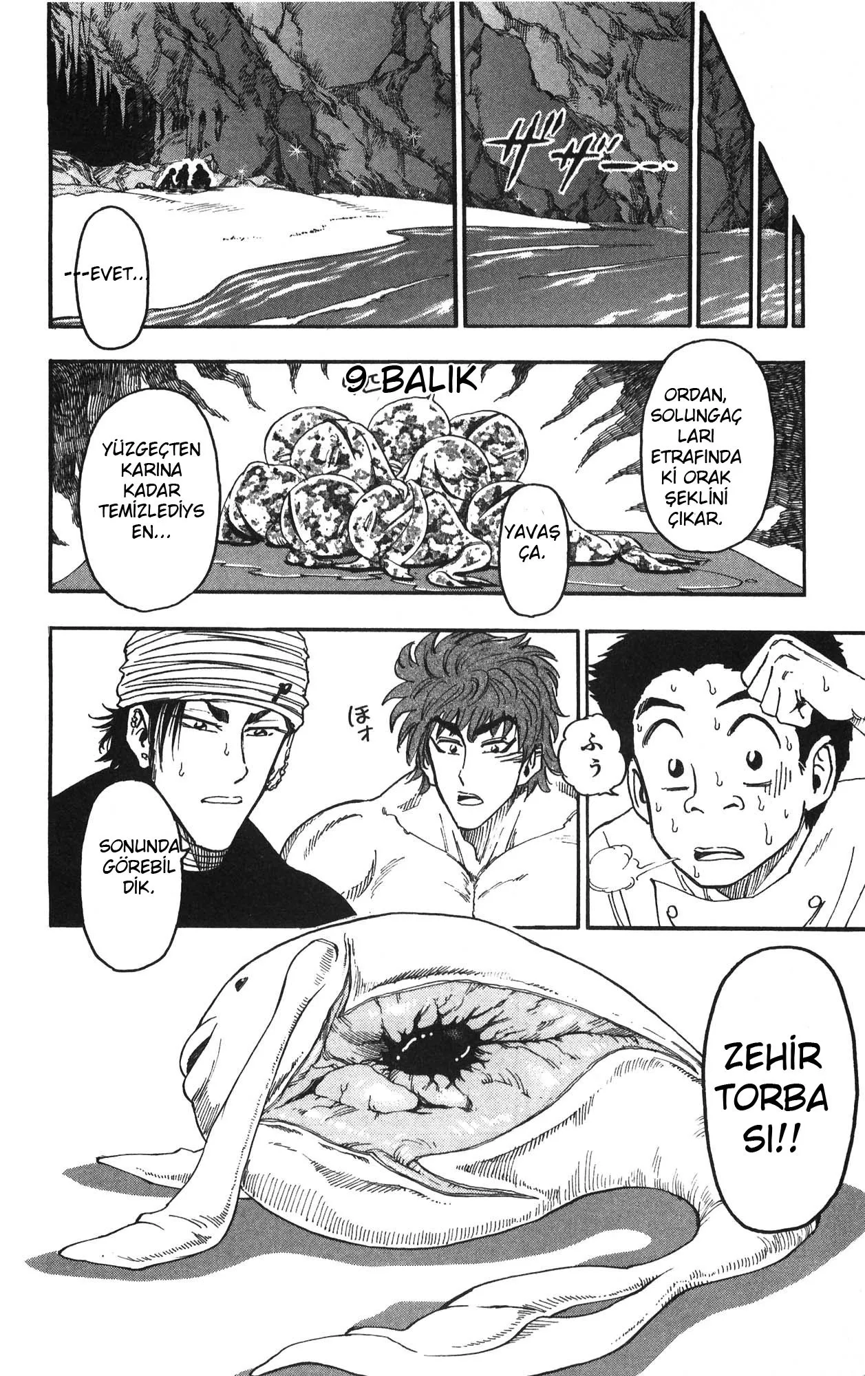 Sayfa 9