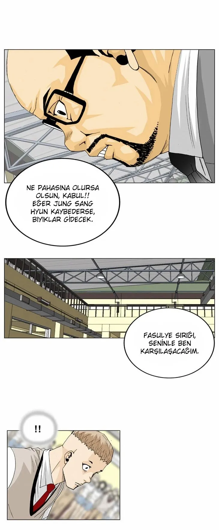Sayfa 17