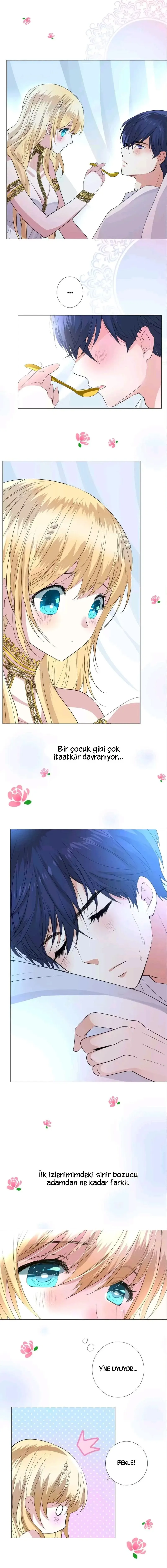 Sayfa 16