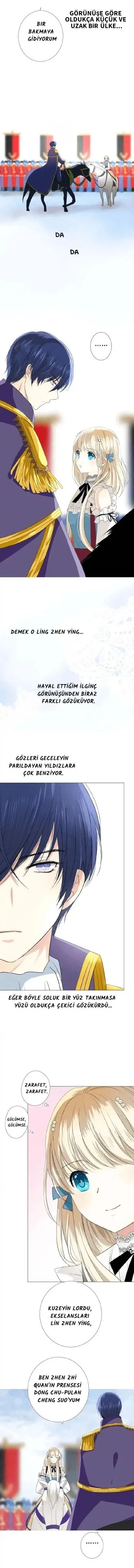 Sayfa 5