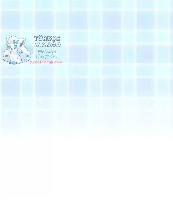 Sayfa 45