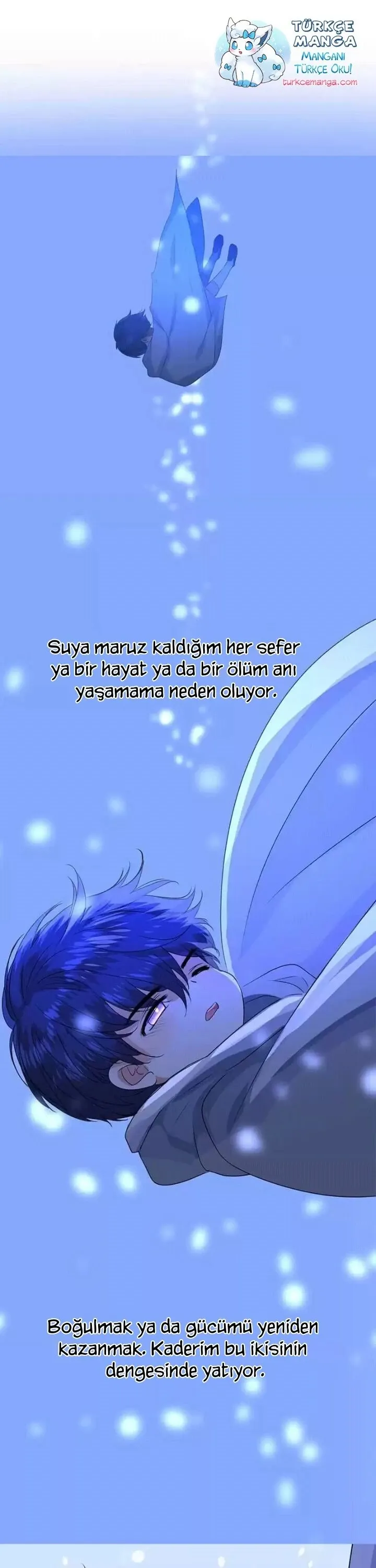 Sayfa 17