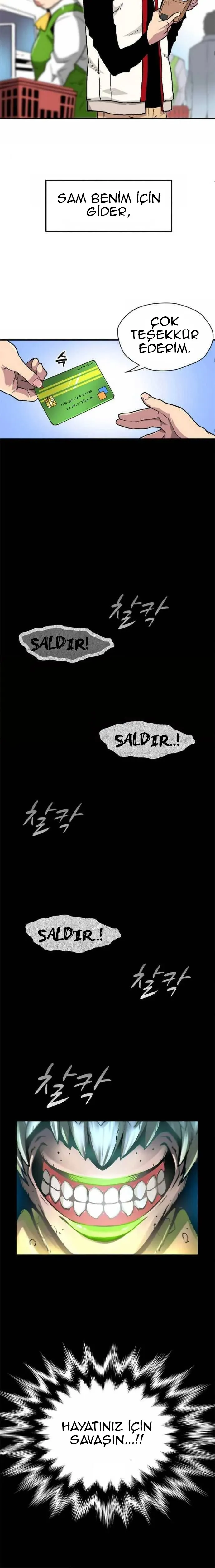 Sayfa 13