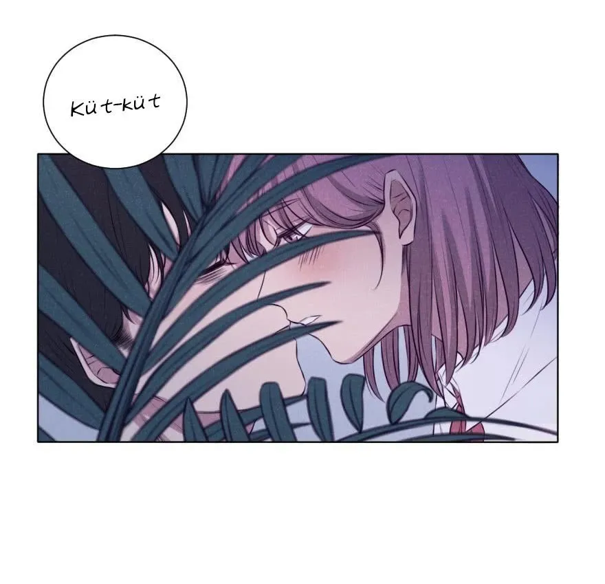Sayfa 31