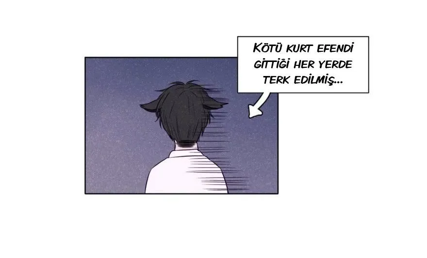 Sayfa 55