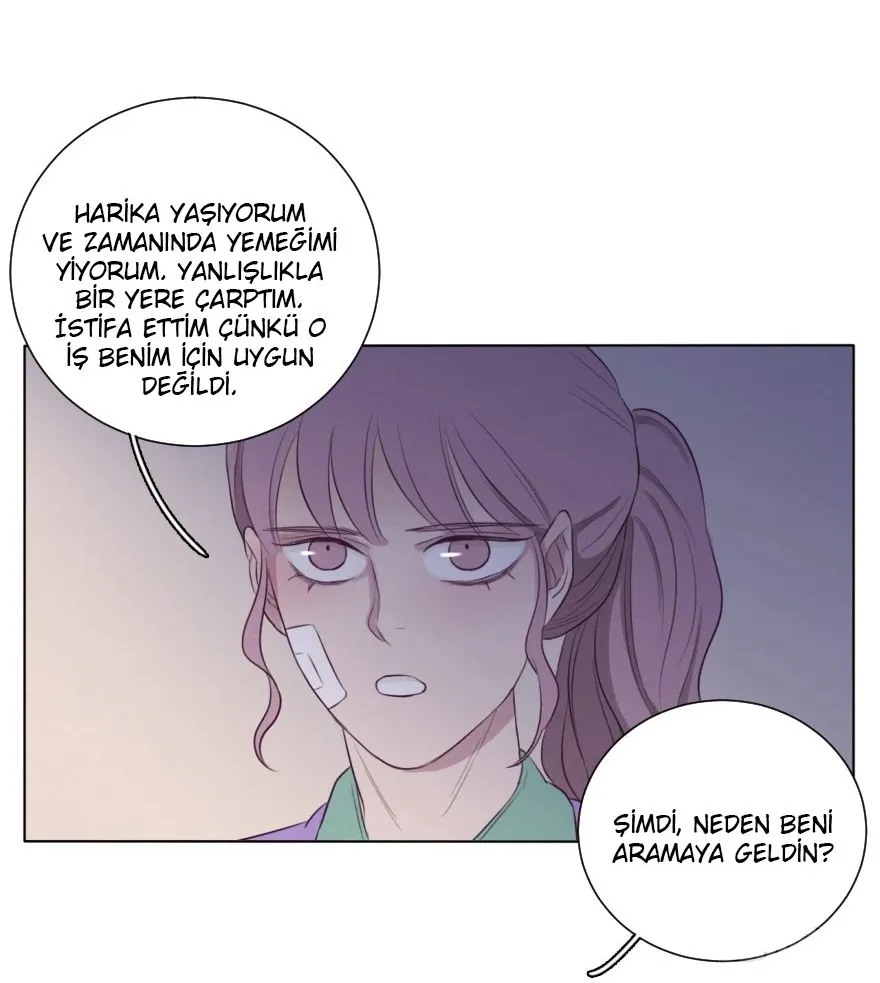 Sayfa 52