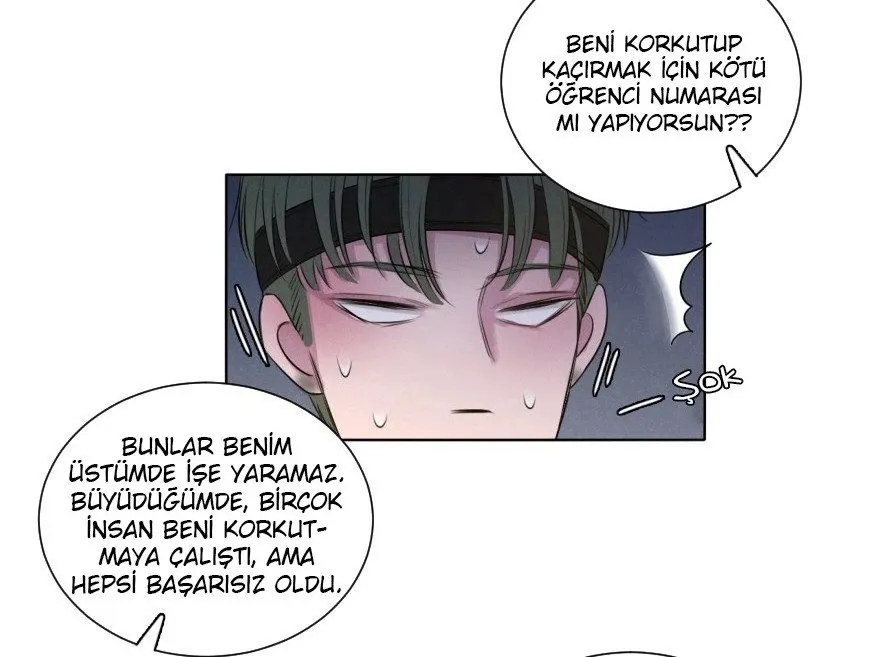 Sayfa 17