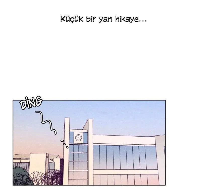 Sayfa 51