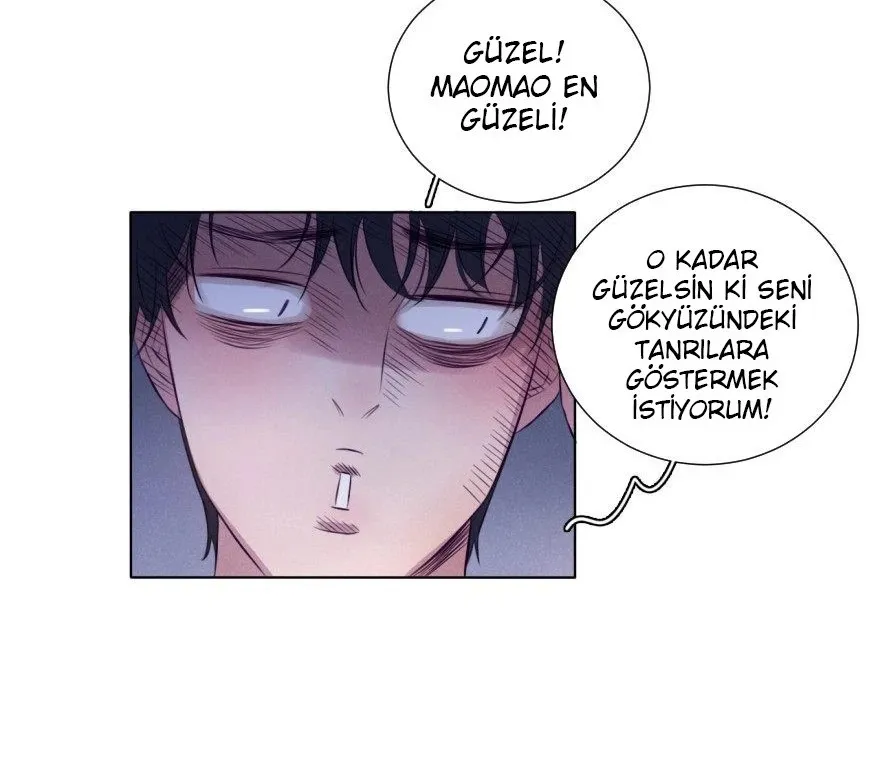 Sayfa 45