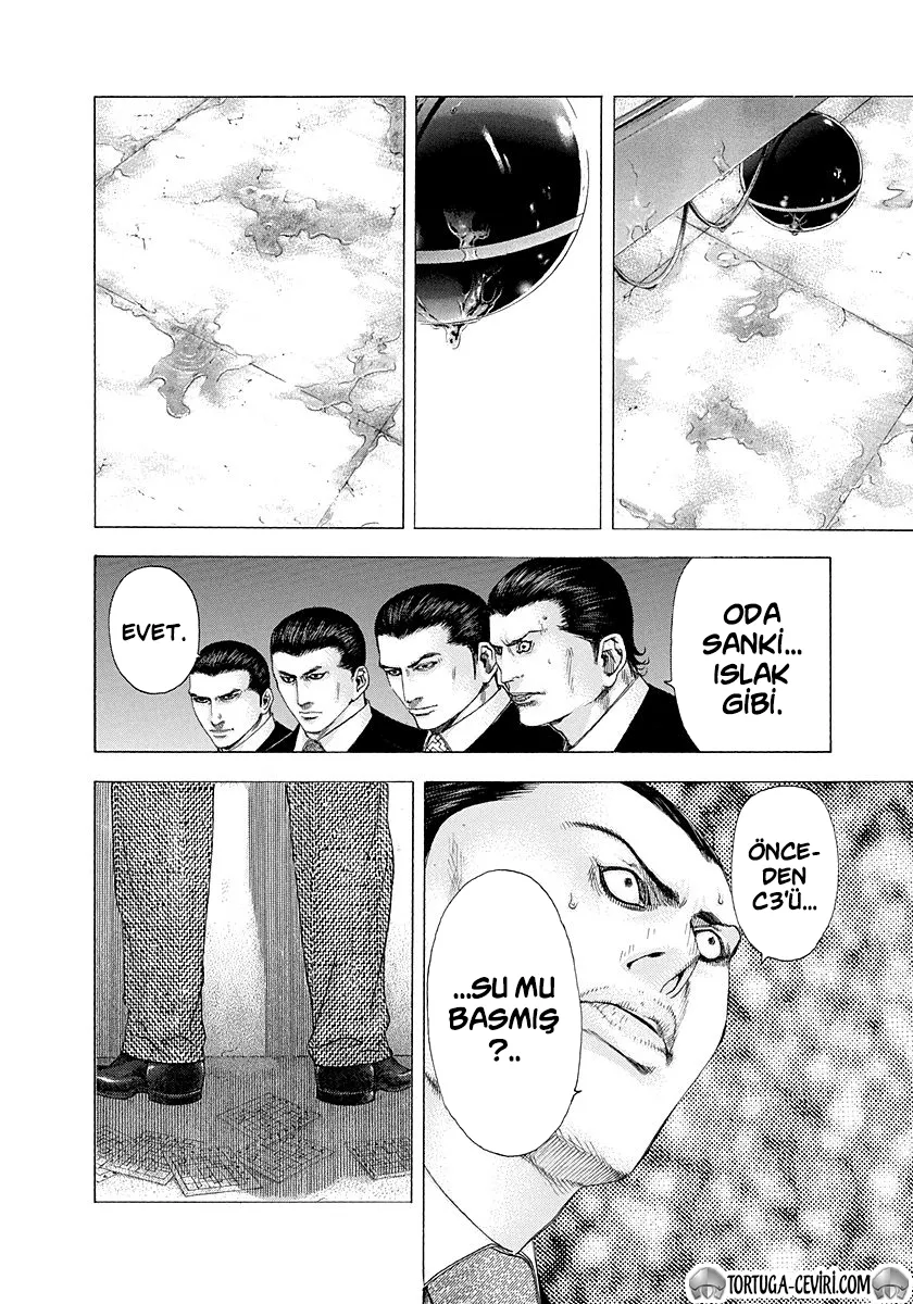 Sayfa 17