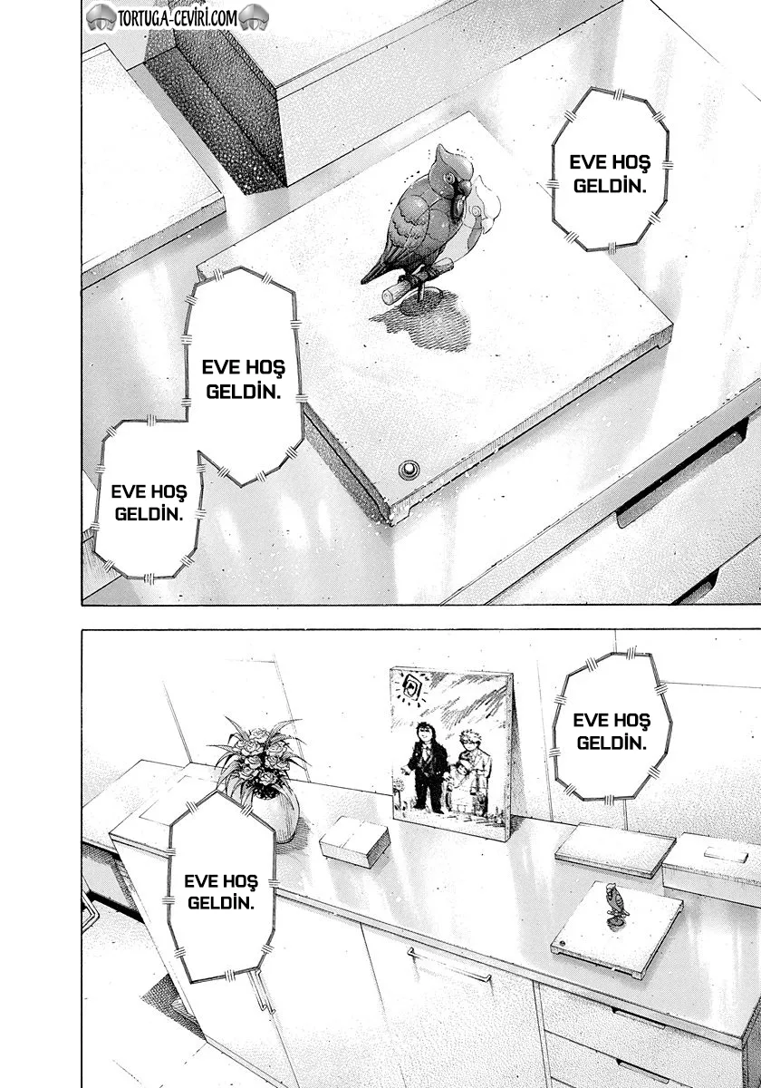 Sayfa 13