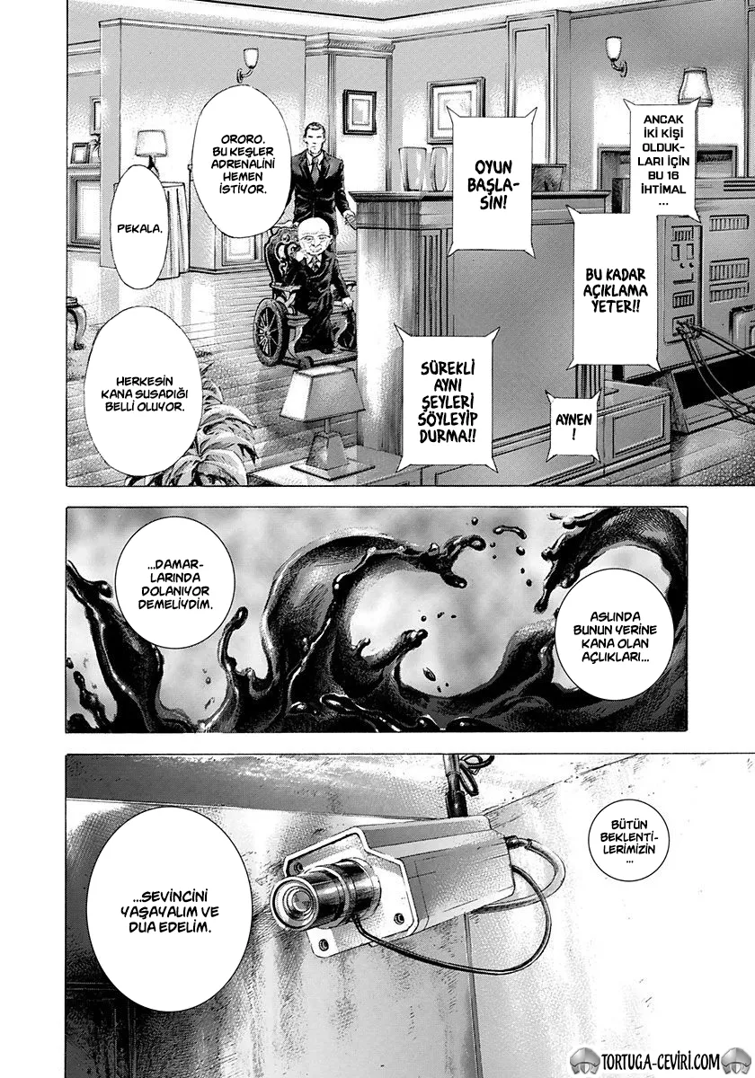 Sayfa 17