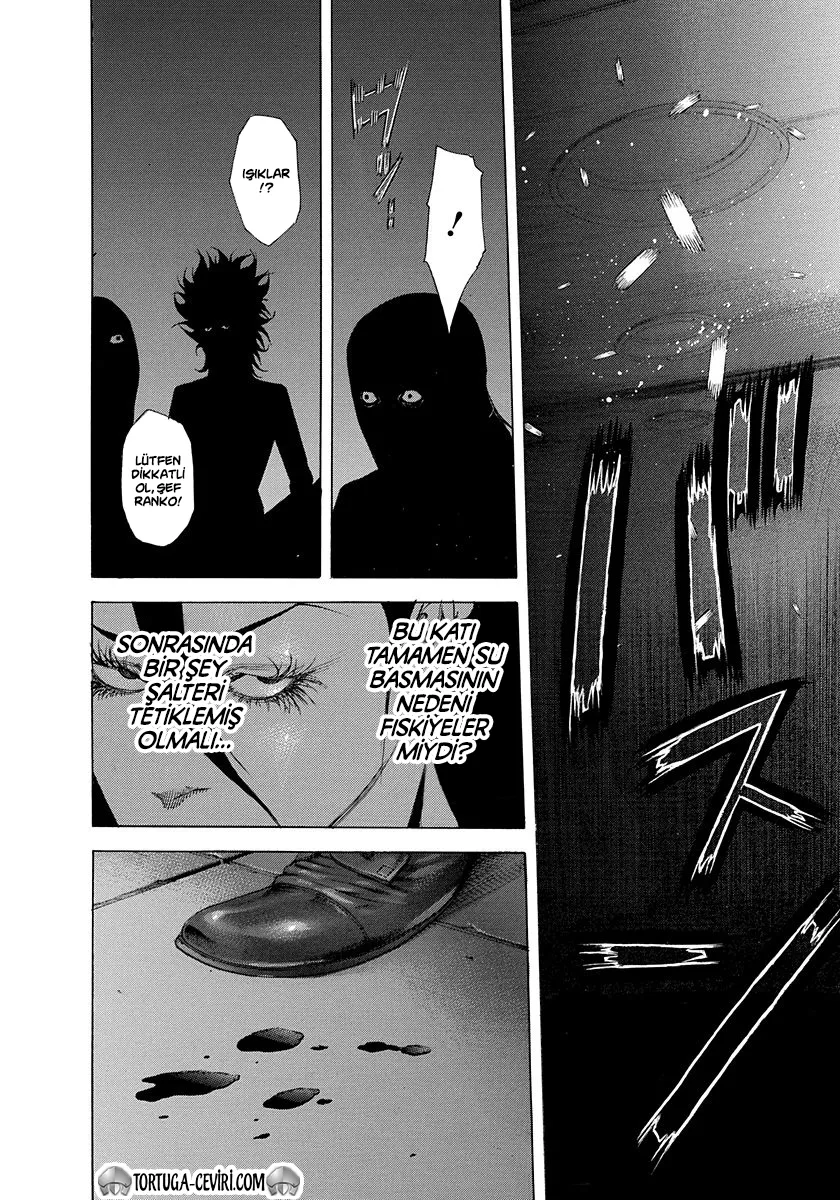 Sayfa 13