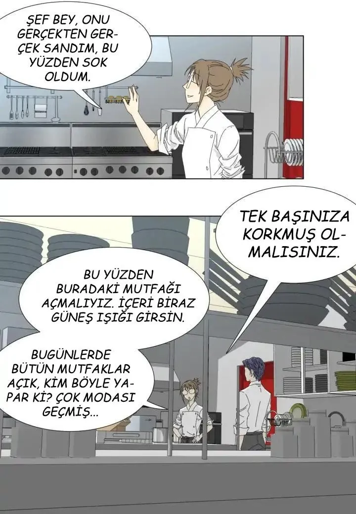 Sayfa 17