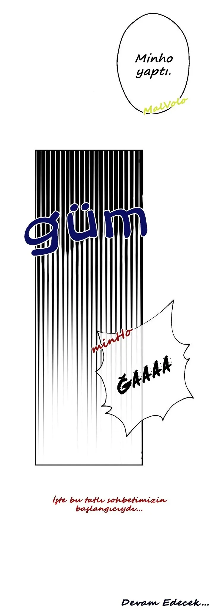 Sayfa 13