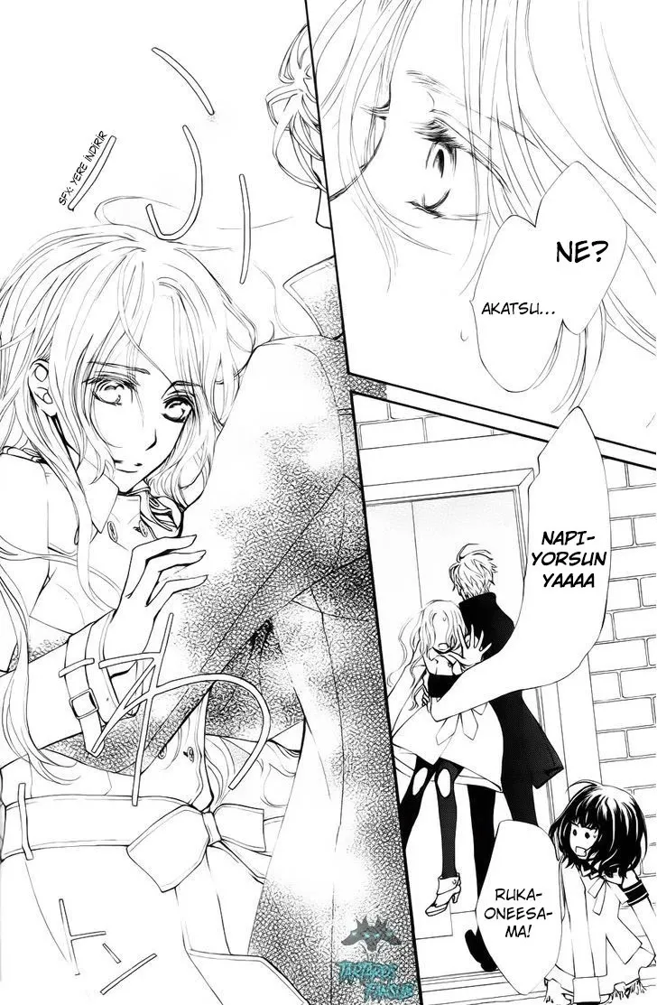 Sayfa 30