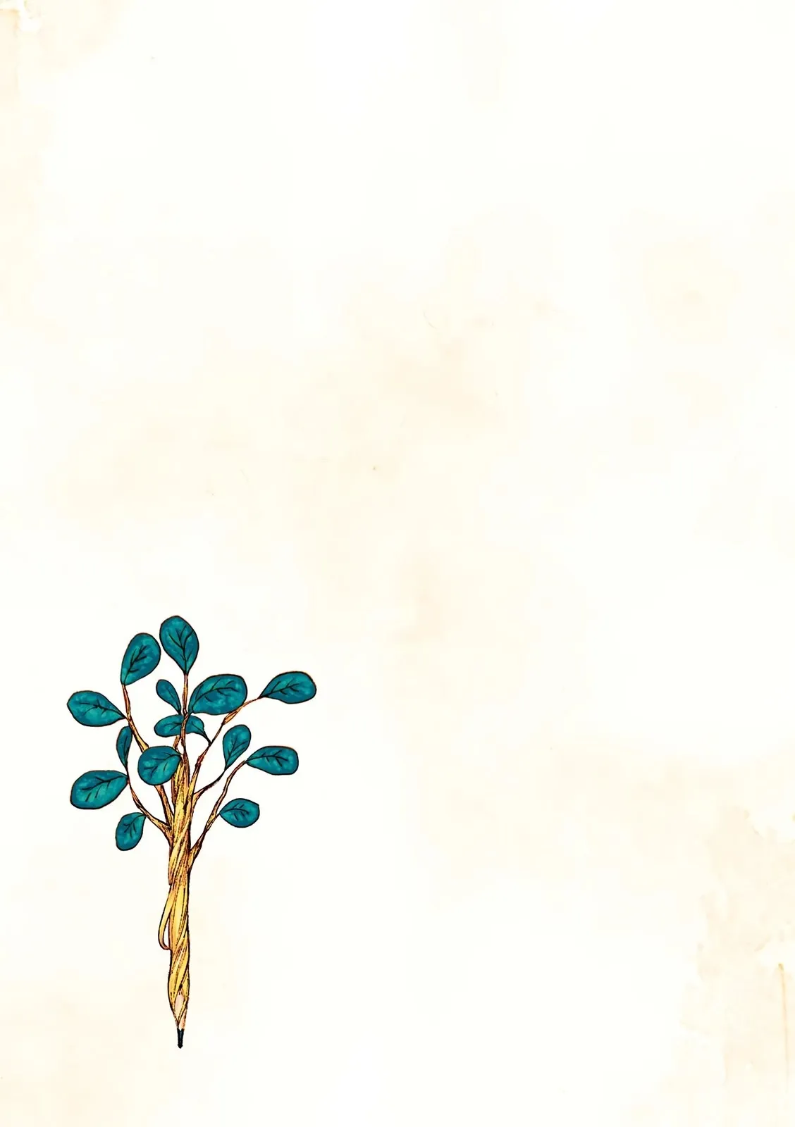 Sayfa 12