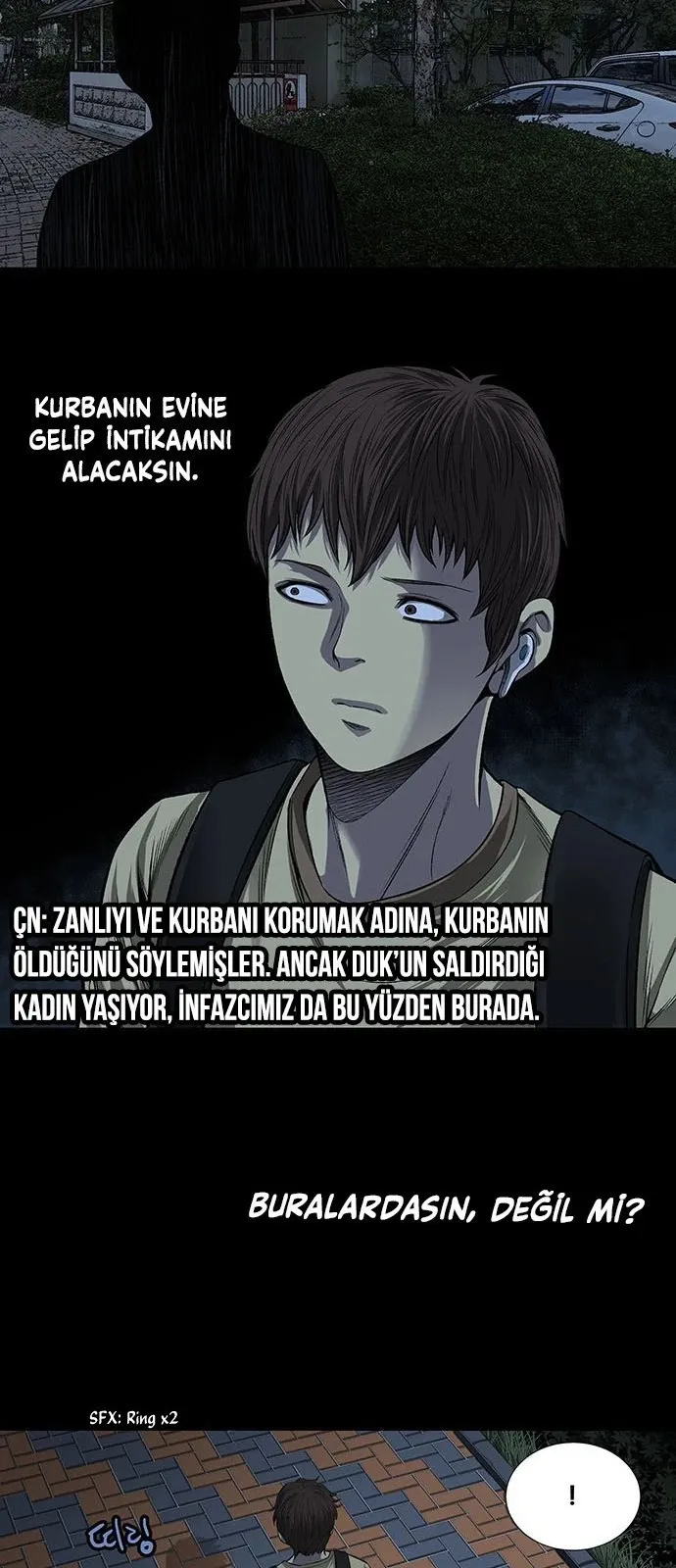 Sayfa 17