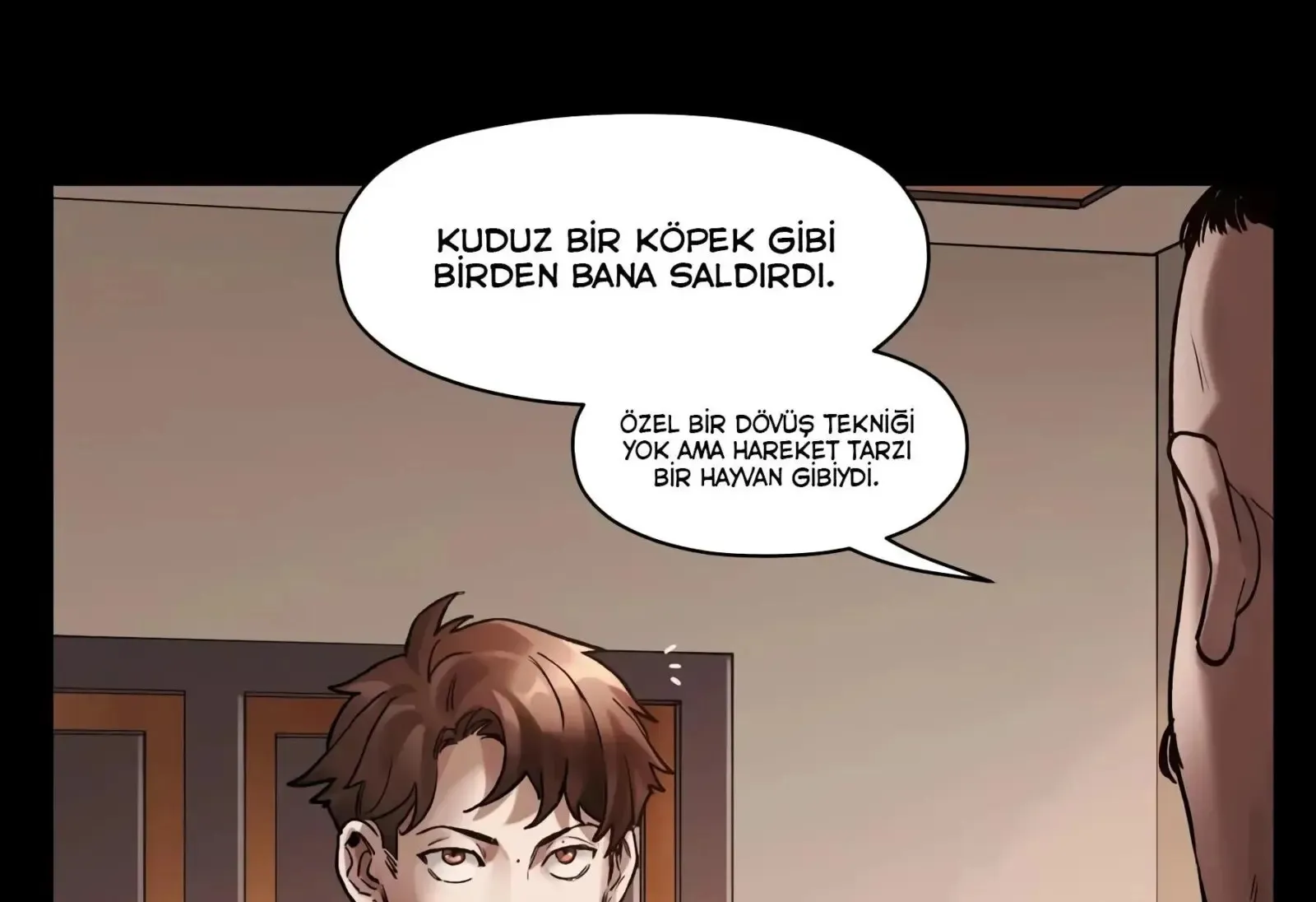 Sayfa 52