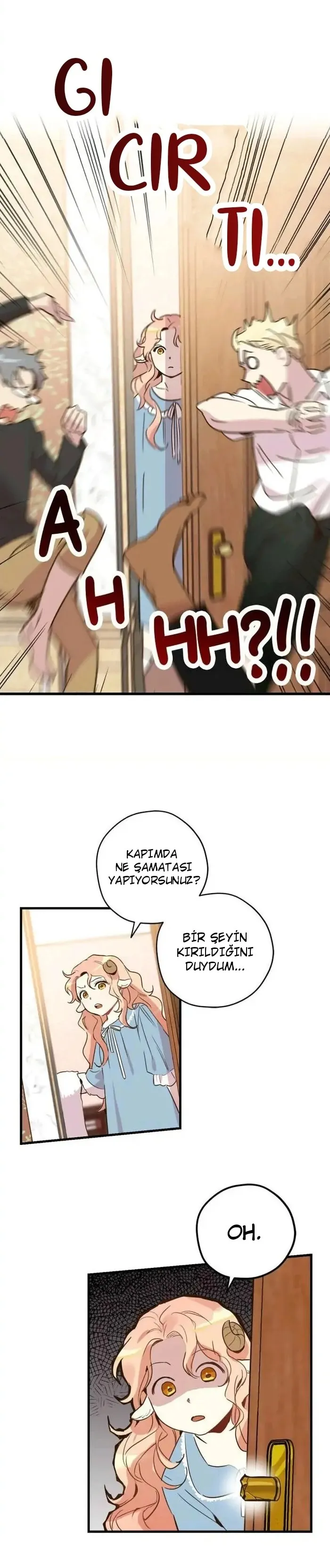 Sayfa 19