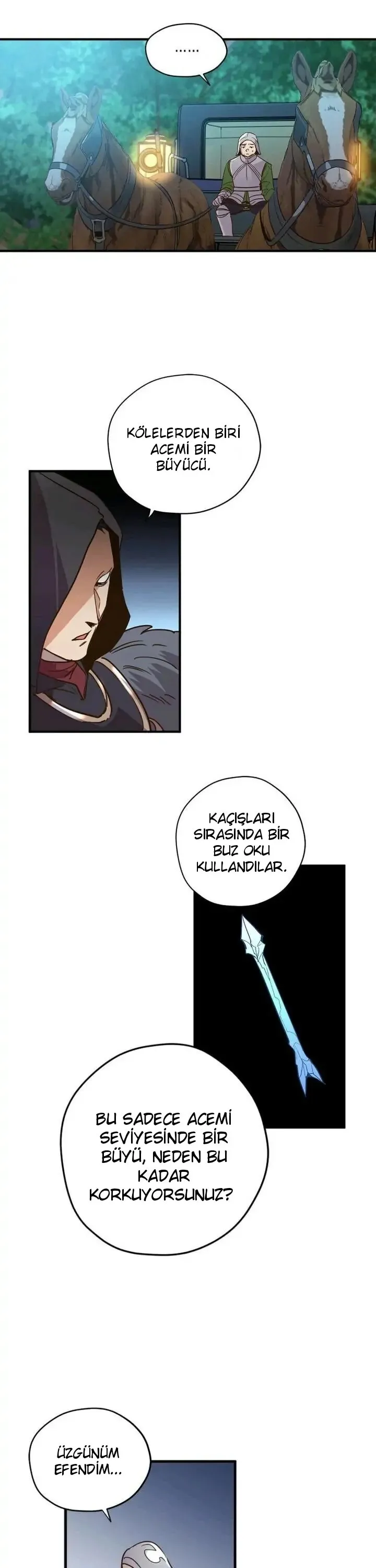 Sayfa 17