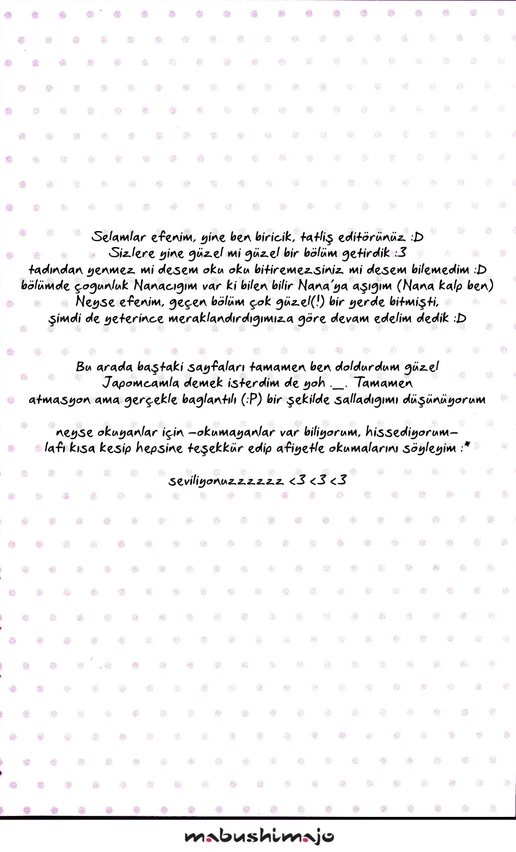 Sayfa 13
