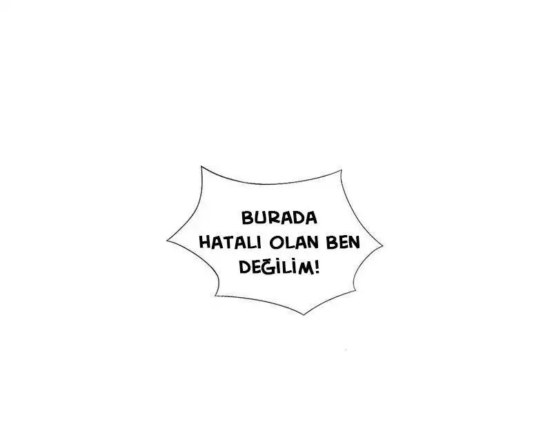 Sayfa 17