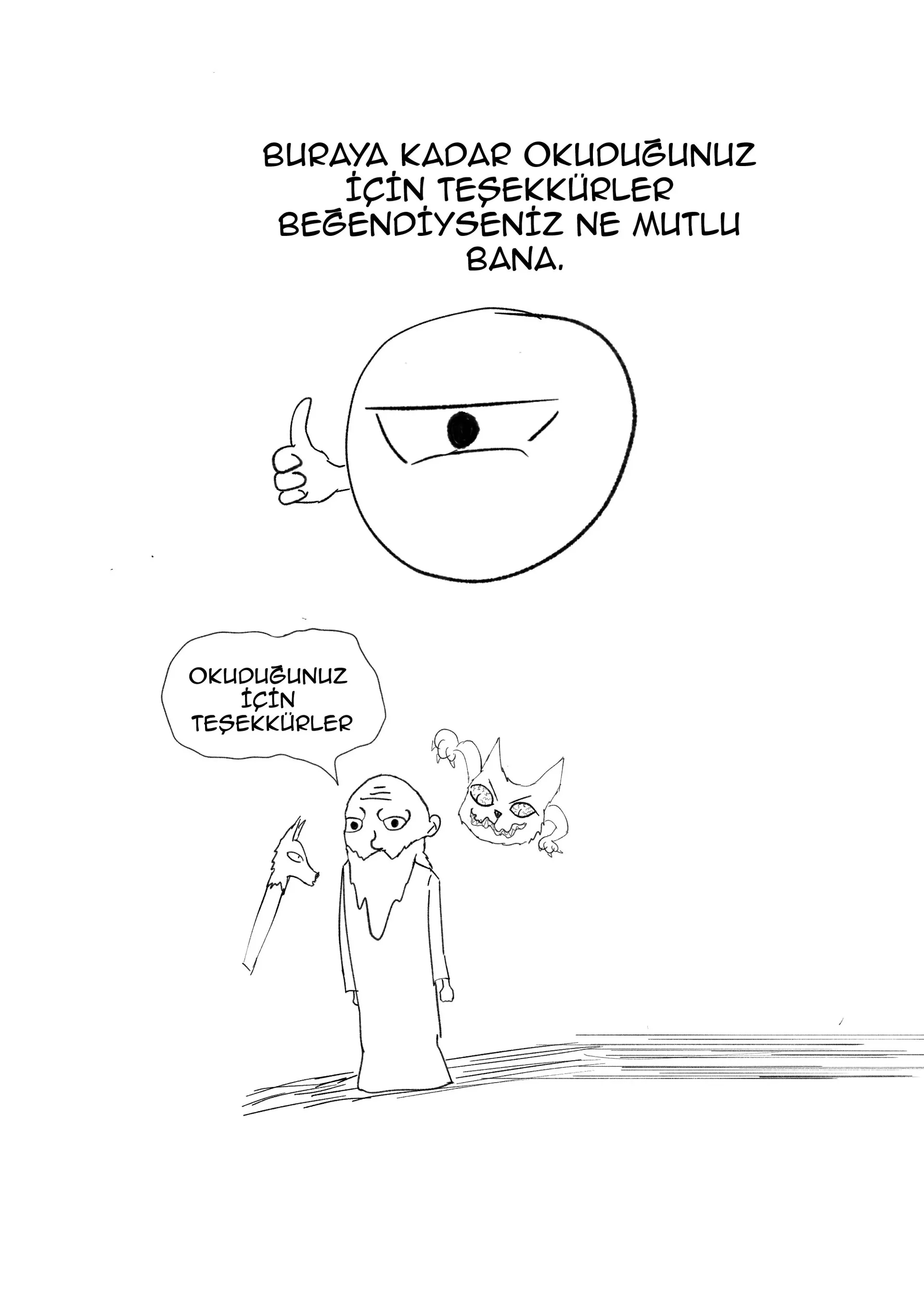 Sayfa 17