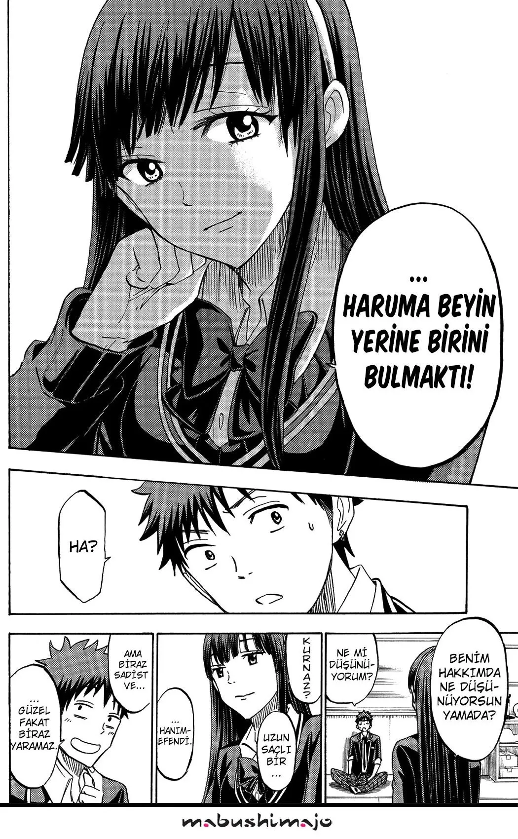 Sayfa 17