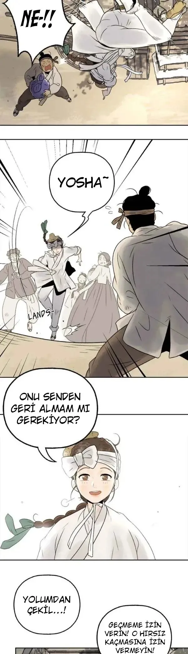 Sayfa 17