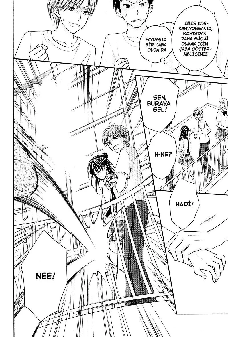 Sayfa 17