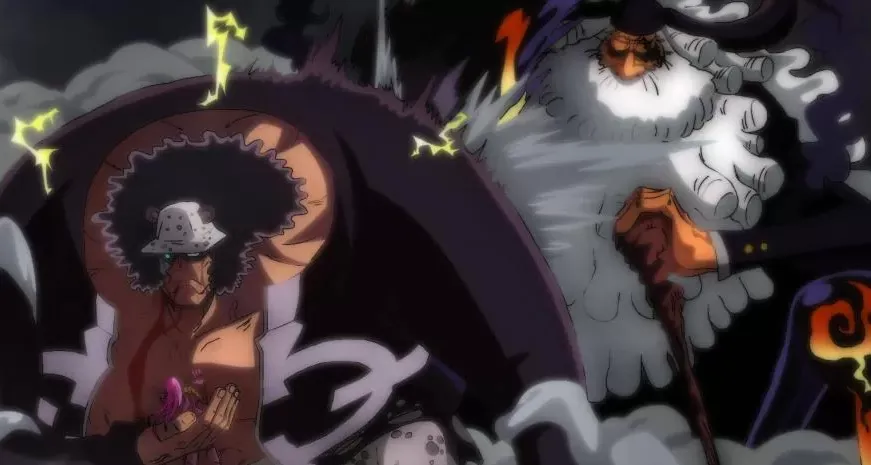 Kuma Hakkında Küçük Bir Bakış