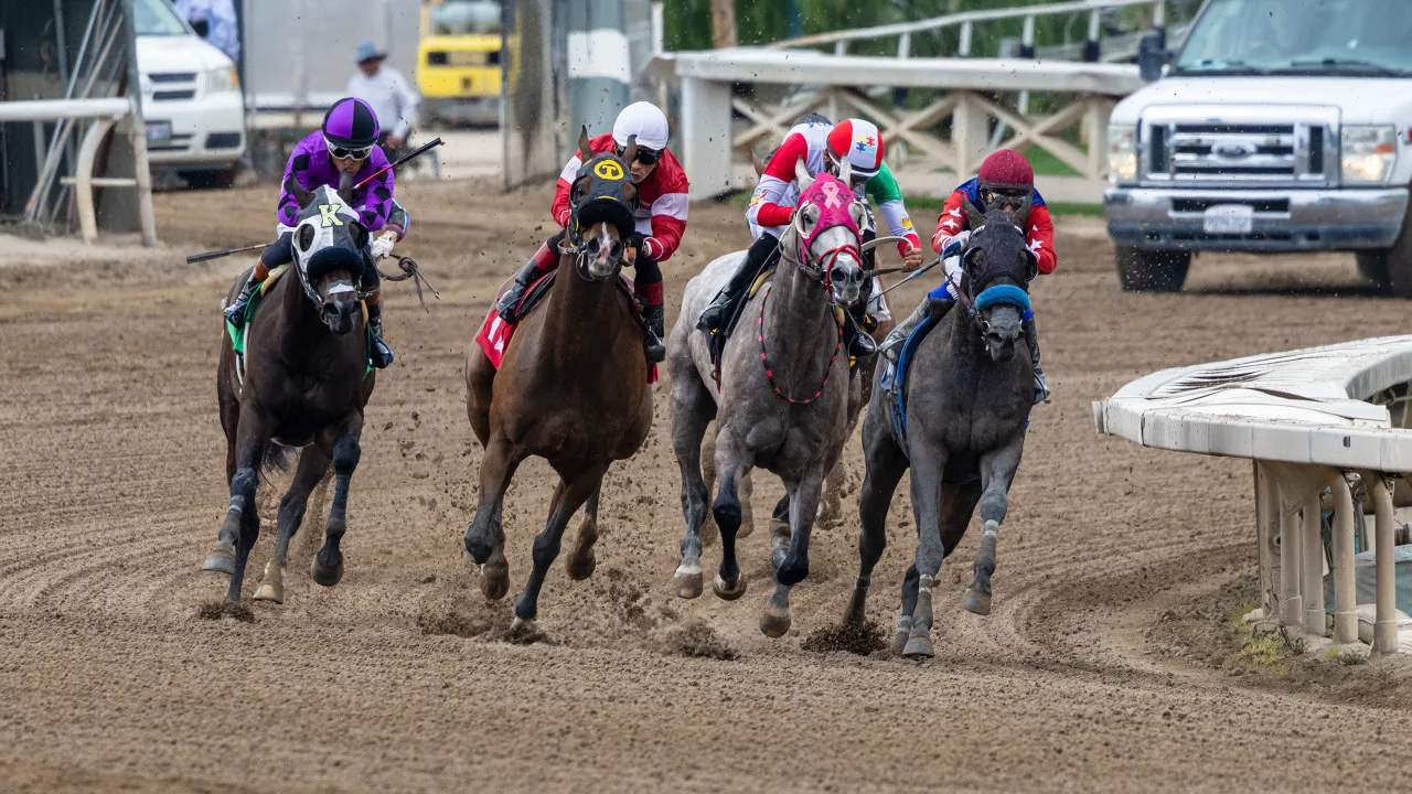 Preakness Day Races. Image by Sharky_LT