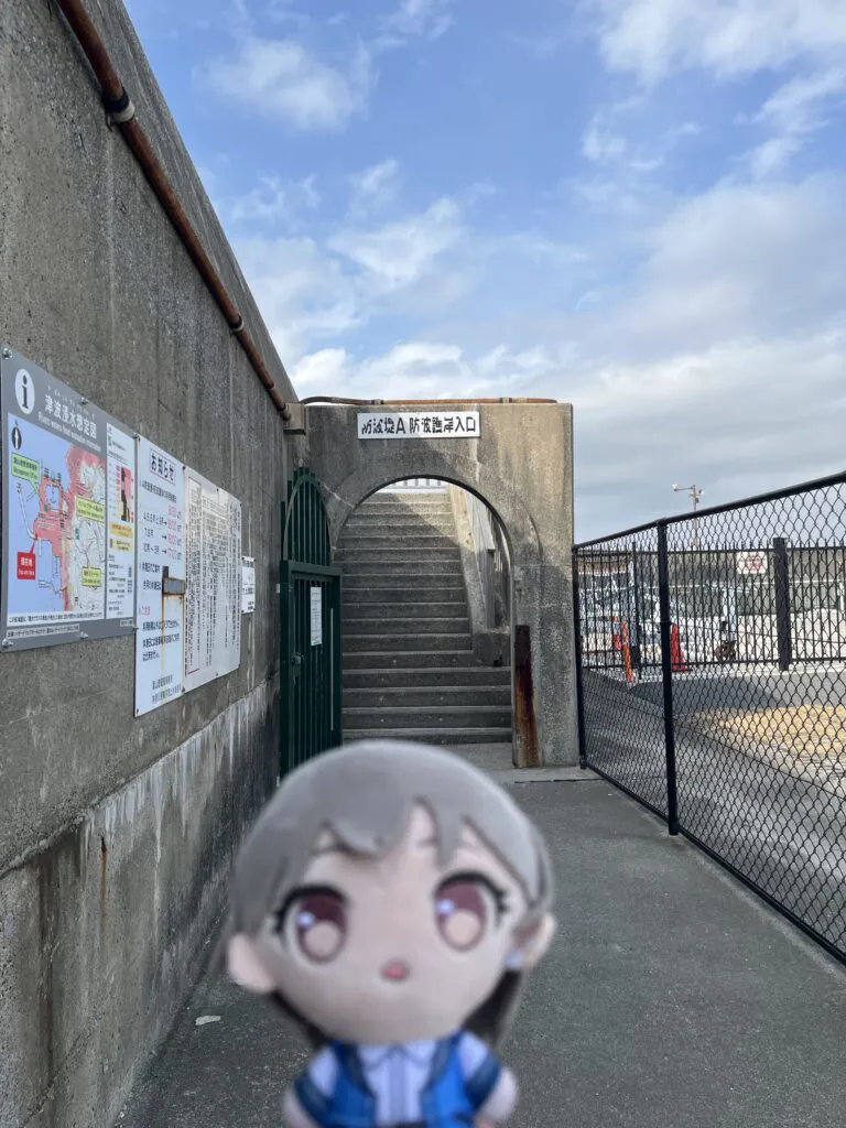 MyGo Hayama tomori raana port