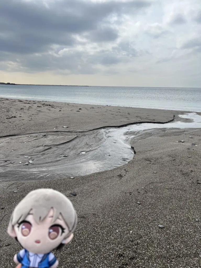 MyGo Hayama raana sand